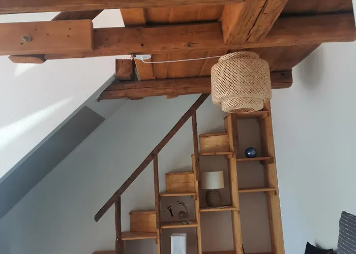 Im Harzer Vogelnest Finkennest Apartman *